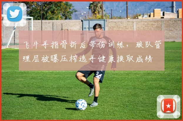 飞牛手指骨折后带伤训练,狼队管理层被曝压榨选手健康换取成绩
